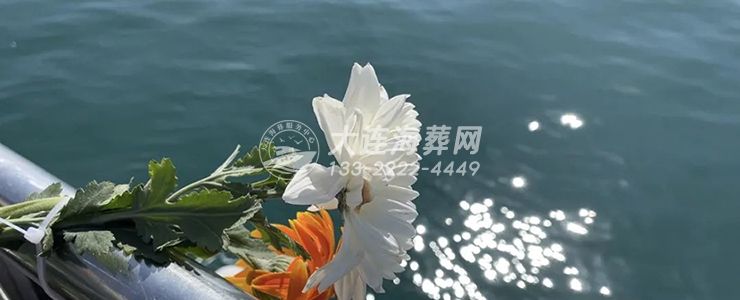 火化后可以直接海葬吗？什么时候办理海葬比较合适？